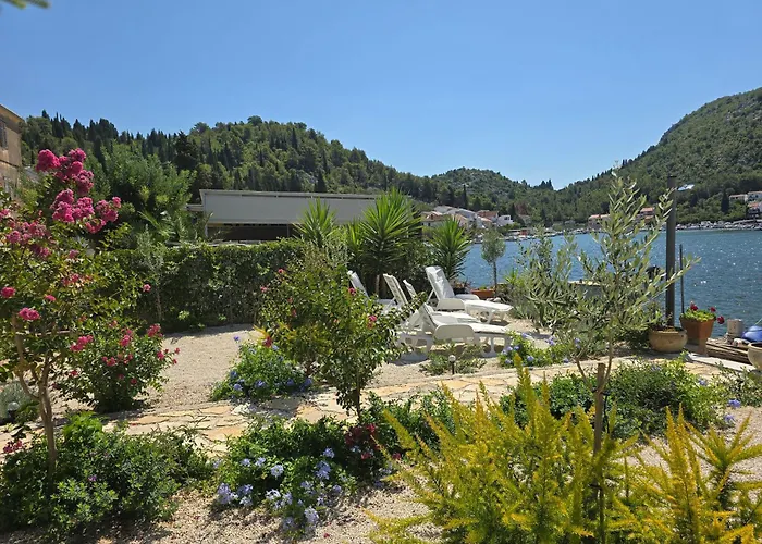 Apartment Stara Kuca