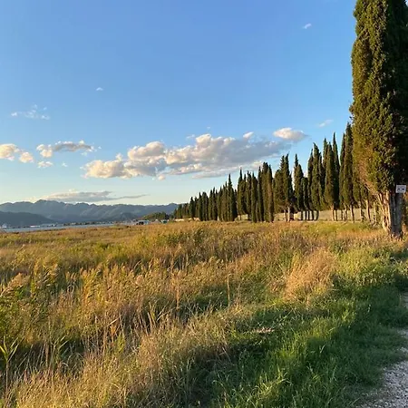 Stara Kuca ブラチェ