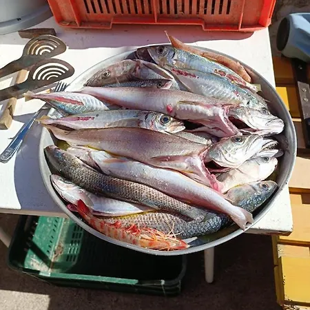 アパート Stara Kuca