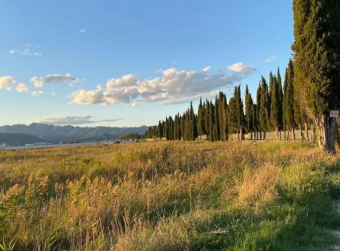 Stara Kuca بلاتشي